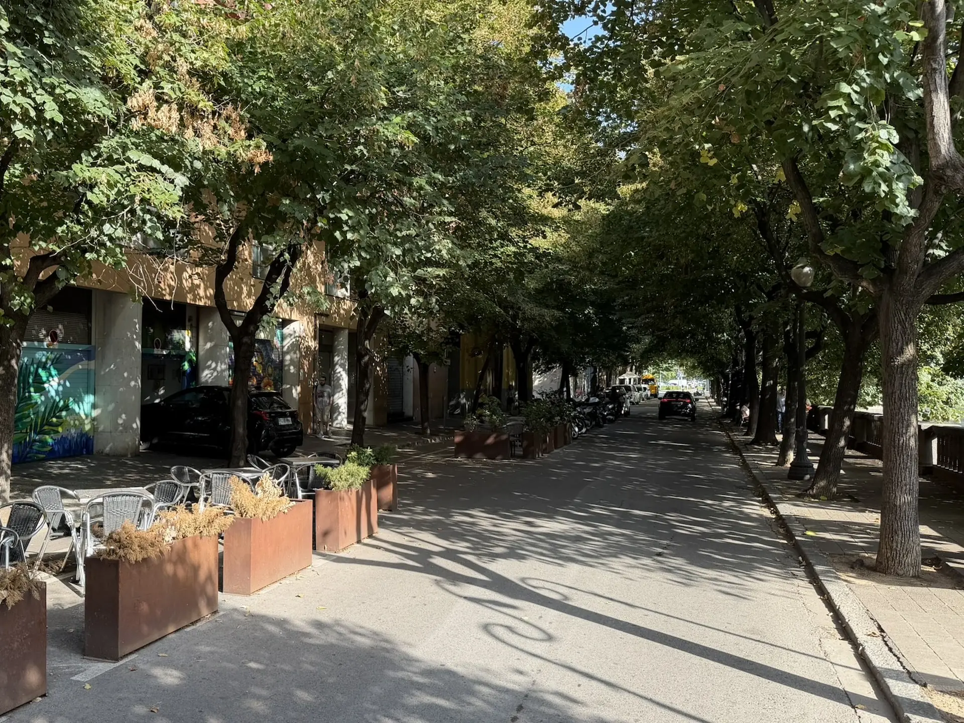 Trottoir végétalisé procurant de l’ombre en été.