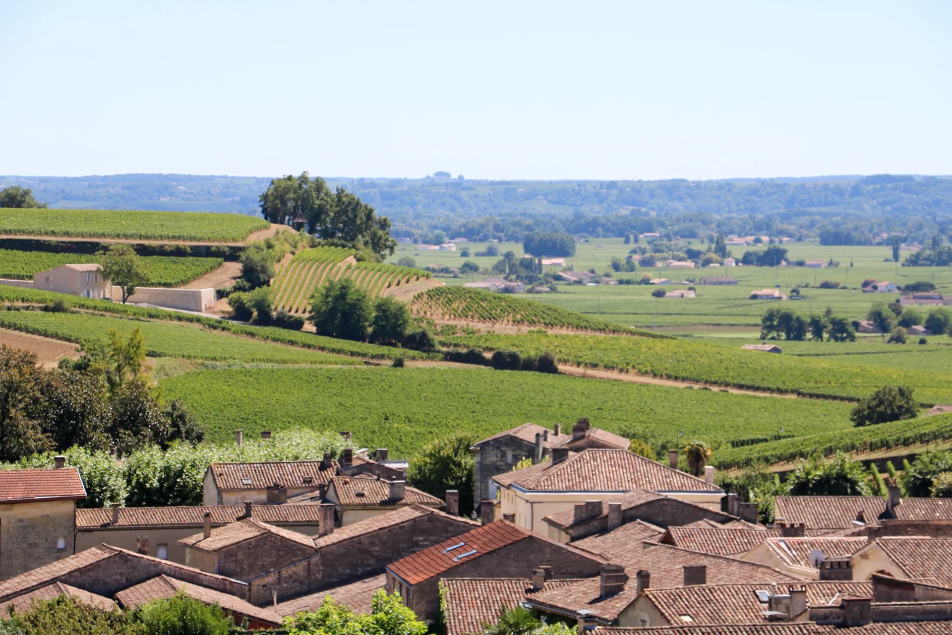 Coteaux plantés de vignes et village en arrière-plan