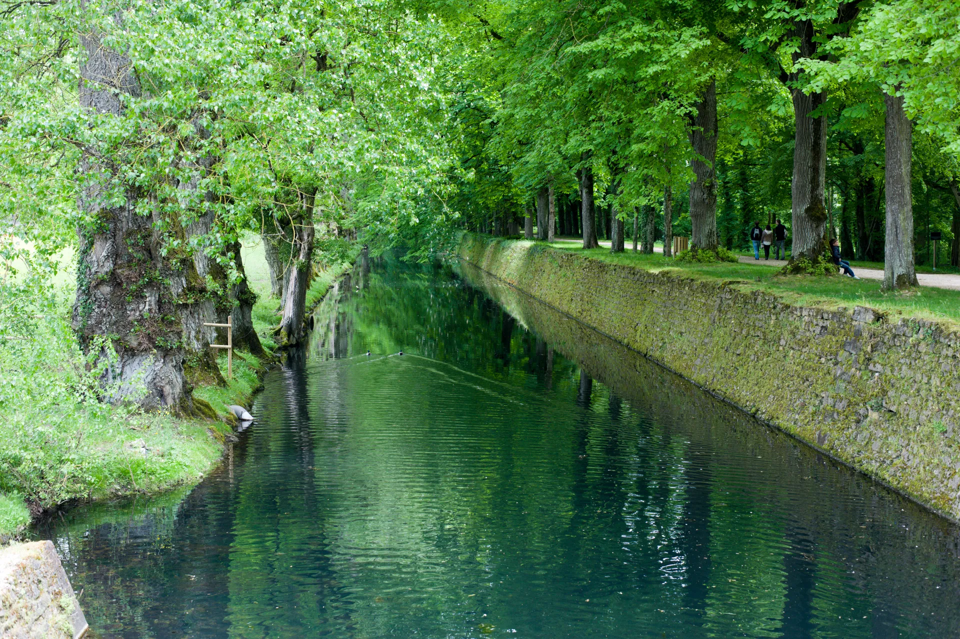 Canal maçonné bordé d’arbres dans un parc